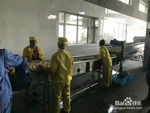 RF67减速机与摆线针轮减速机选型指南 聚焦B系列摆线针轮减速机